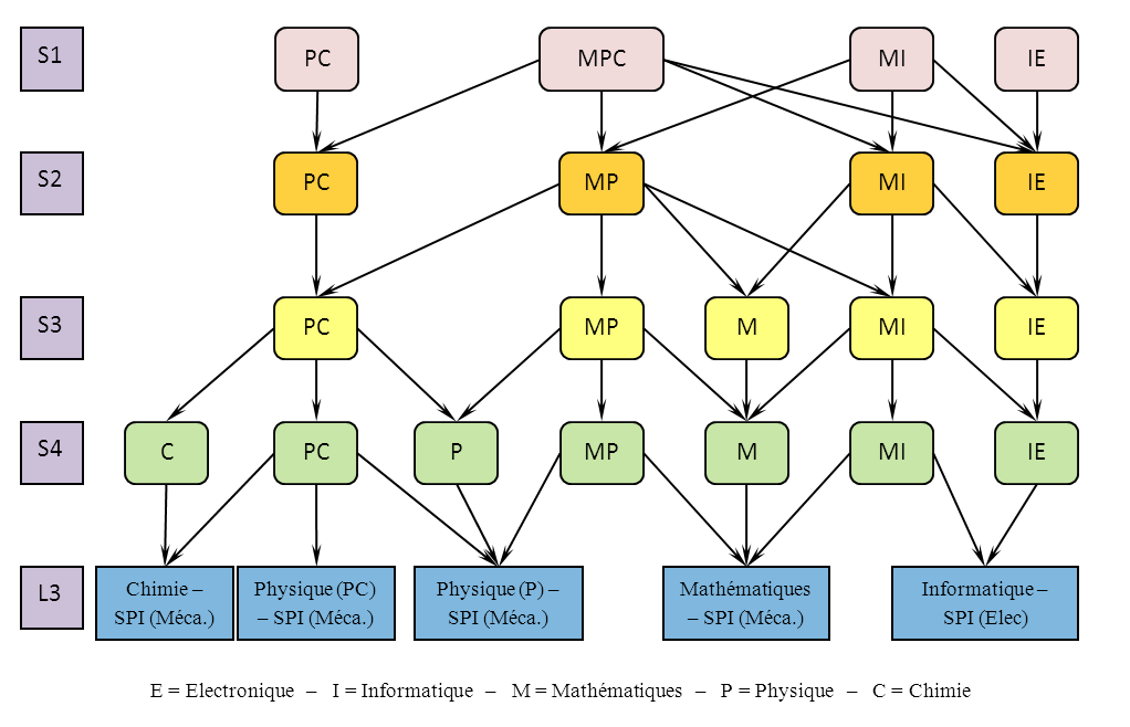 schema l1-l2