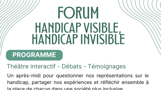 Handicap Visible Handicap Invisible